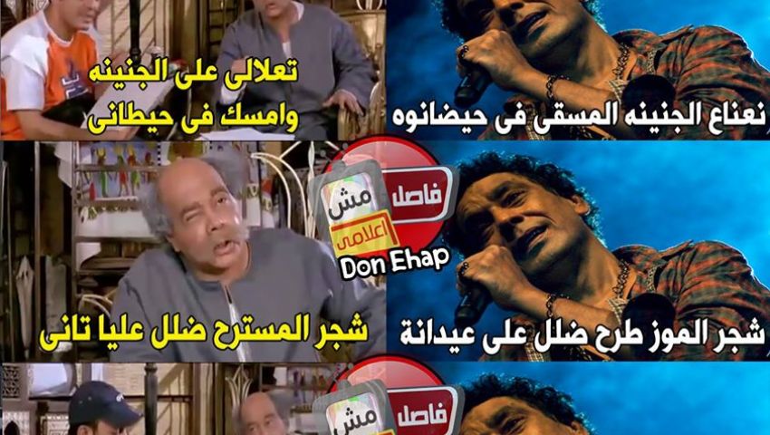 منير يثير الجدل على فيس بوك.. وساخرون: أنا كنت نابليون